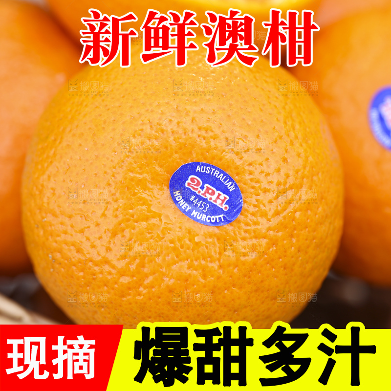 手里拿着进口澳柑