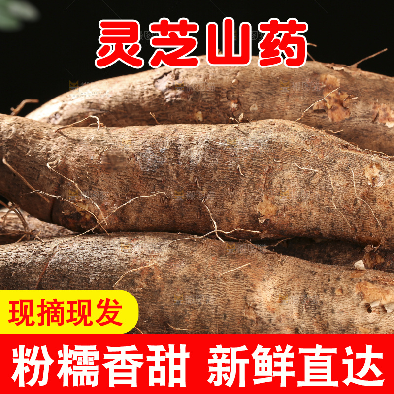 深底上放着灵芝山药