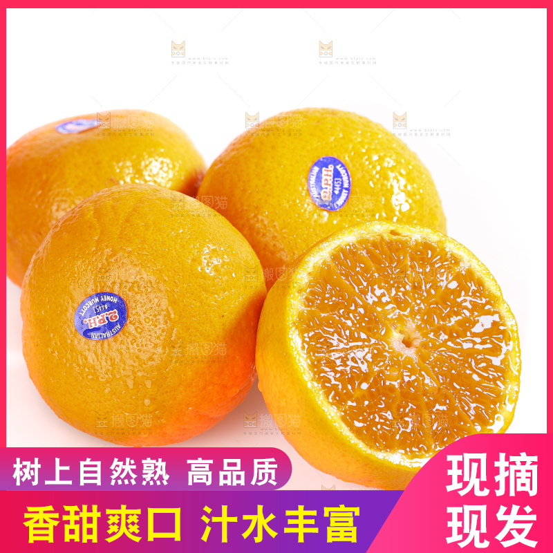 白底上放着新鲜澳柑