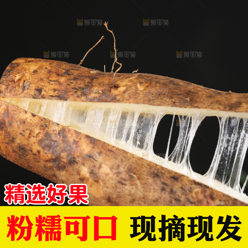 深底上的灵芝山药