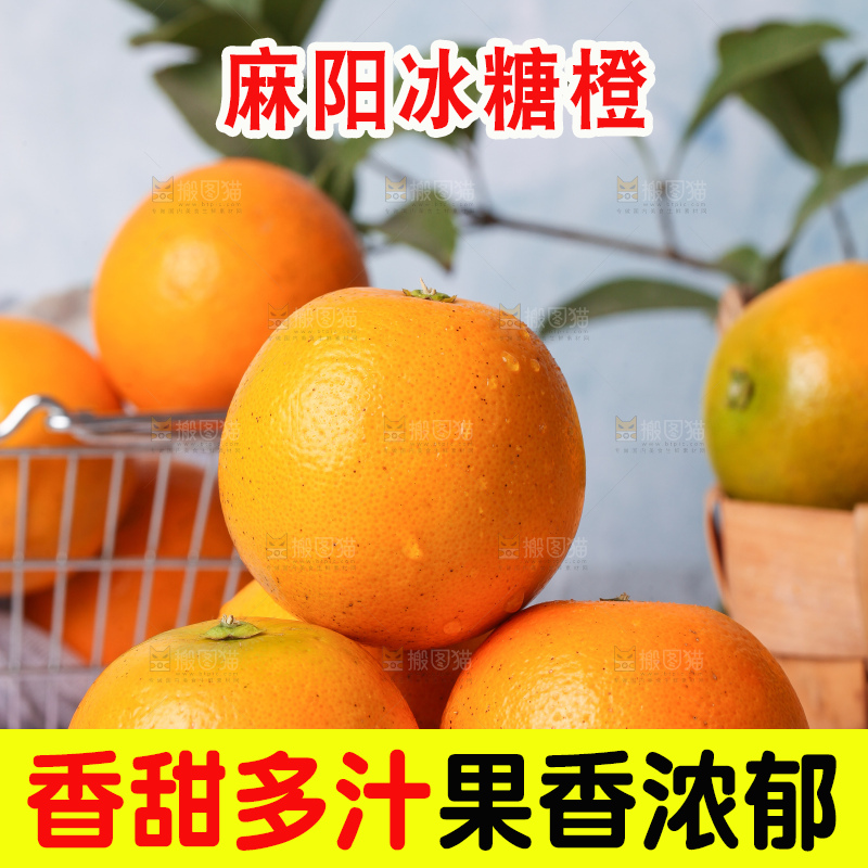 浅底上的麻阳冰糖橙