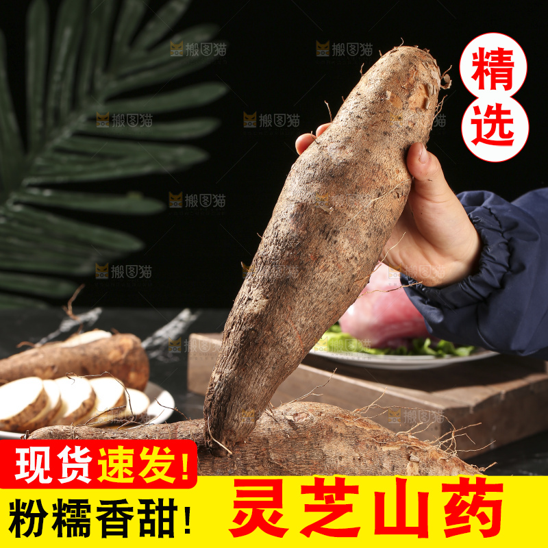 深底上放着灵芝山药