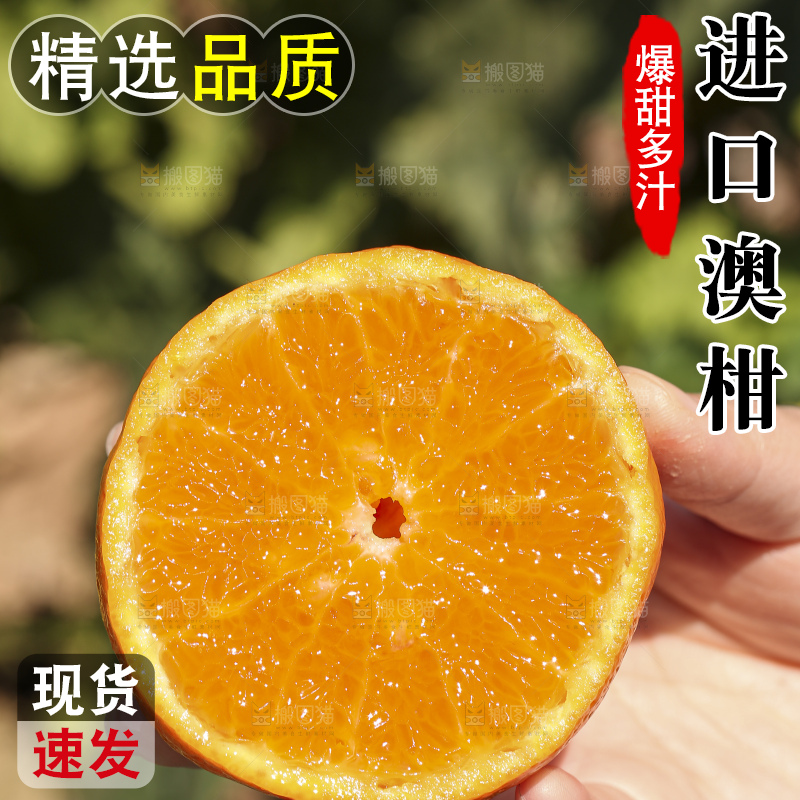 手里拿着进口澳柑
