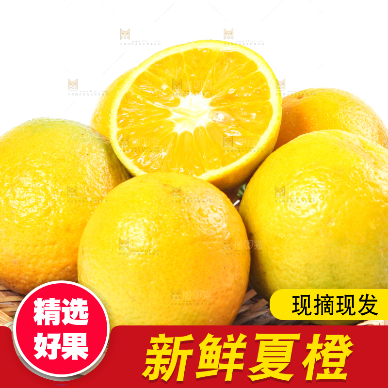 白底上放着的夏橙
