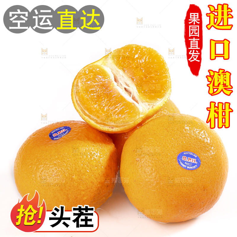 白底上放着新鲜澳柑