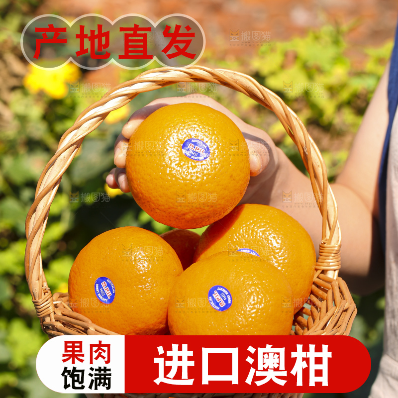 手里拿着进口澳柑