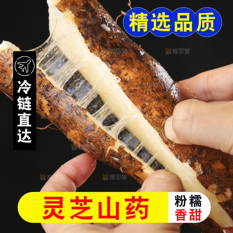 手里拿着拉丝灵芝山药
