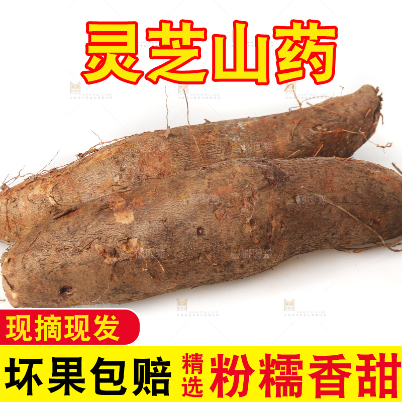 白底上放着灵芝山药