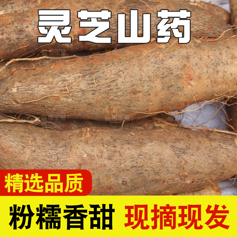 草地上的灵芝山药