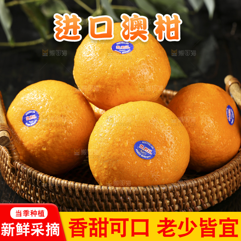 深底上的澳柑