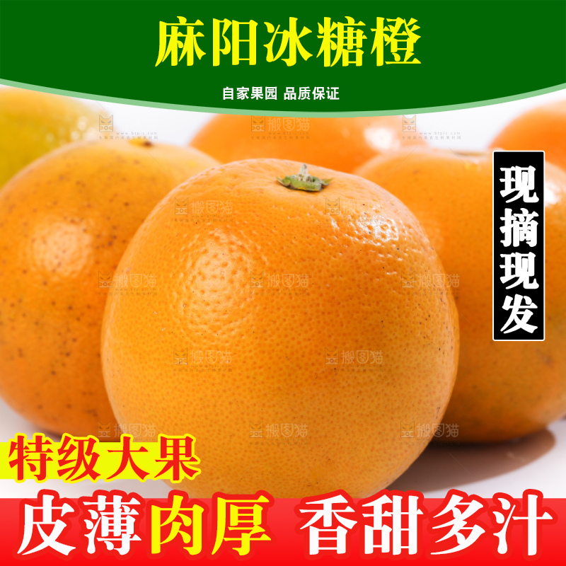 白底上的麻阳冰糖橙