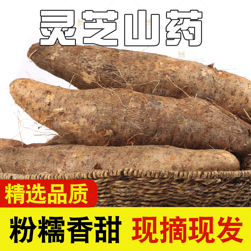 白底上的云南灵芝山药