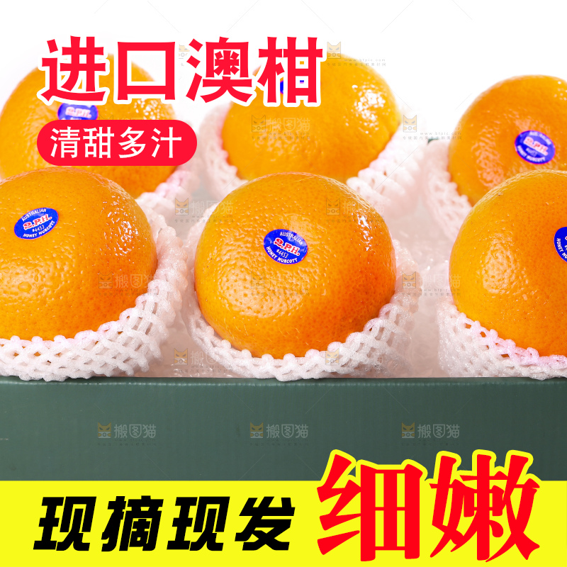白底上放着新鲜澳柑