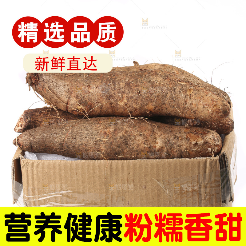 白底上的云南灵芝山药