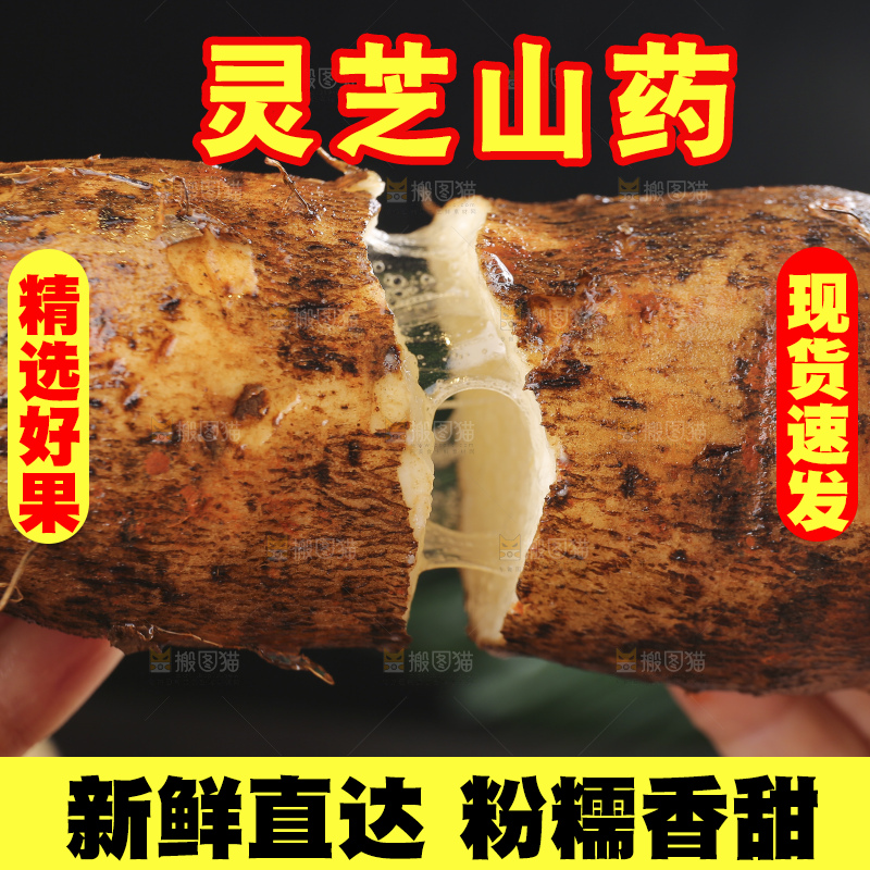 深底上的灵芝山药