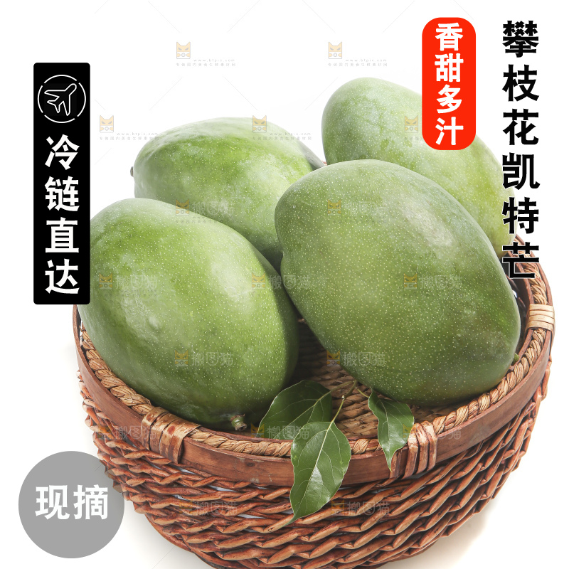 白底上的青皮凯特芒