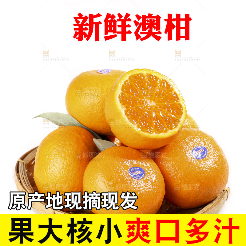 白底上放着新鲜澳柑