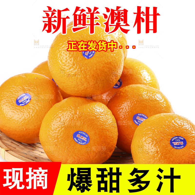 白底上放着新鲜澳柑
