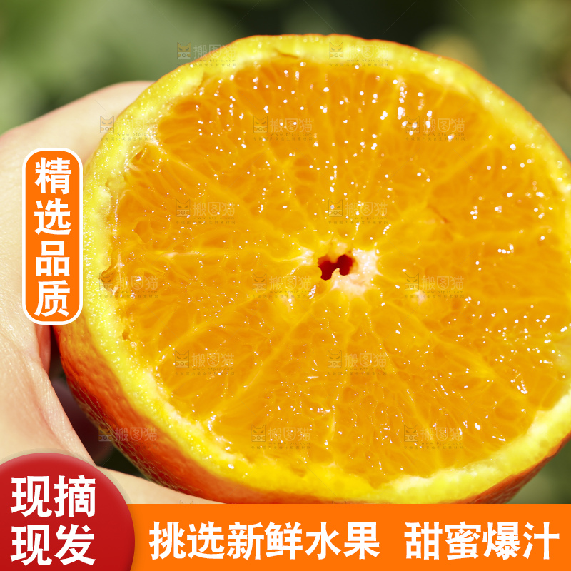 手里拿着进口澳柑