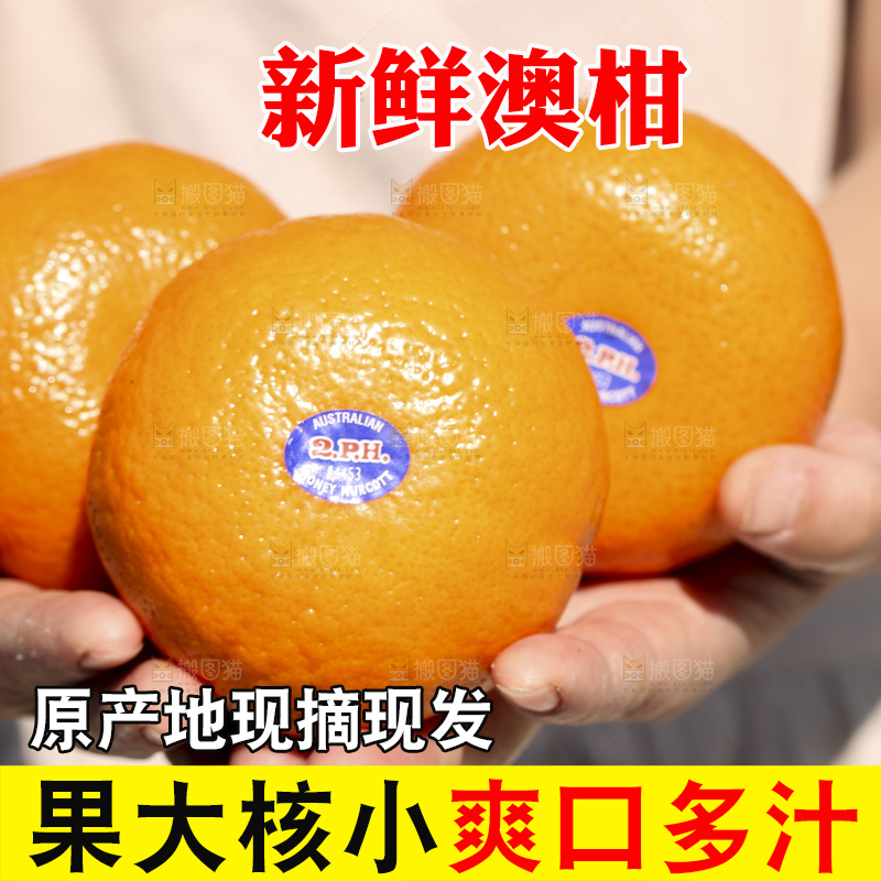 手里拿着进口澳柑