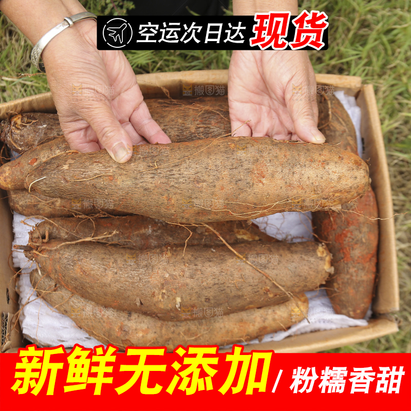 手里拿着灵芝山药