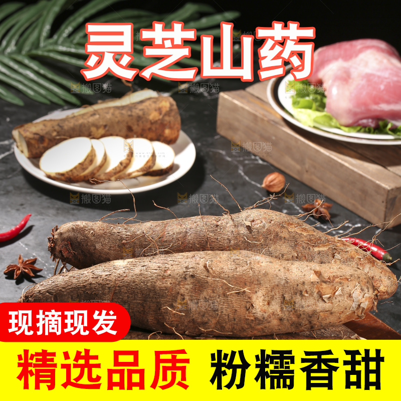 深底上放着灵芝山药