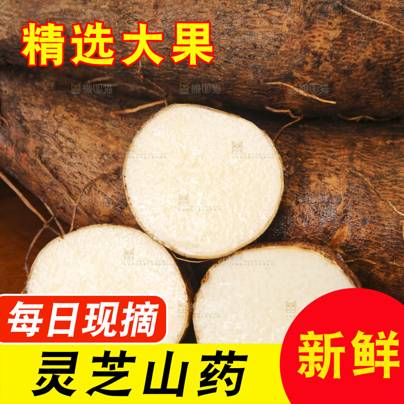 深底上的灵芝山药