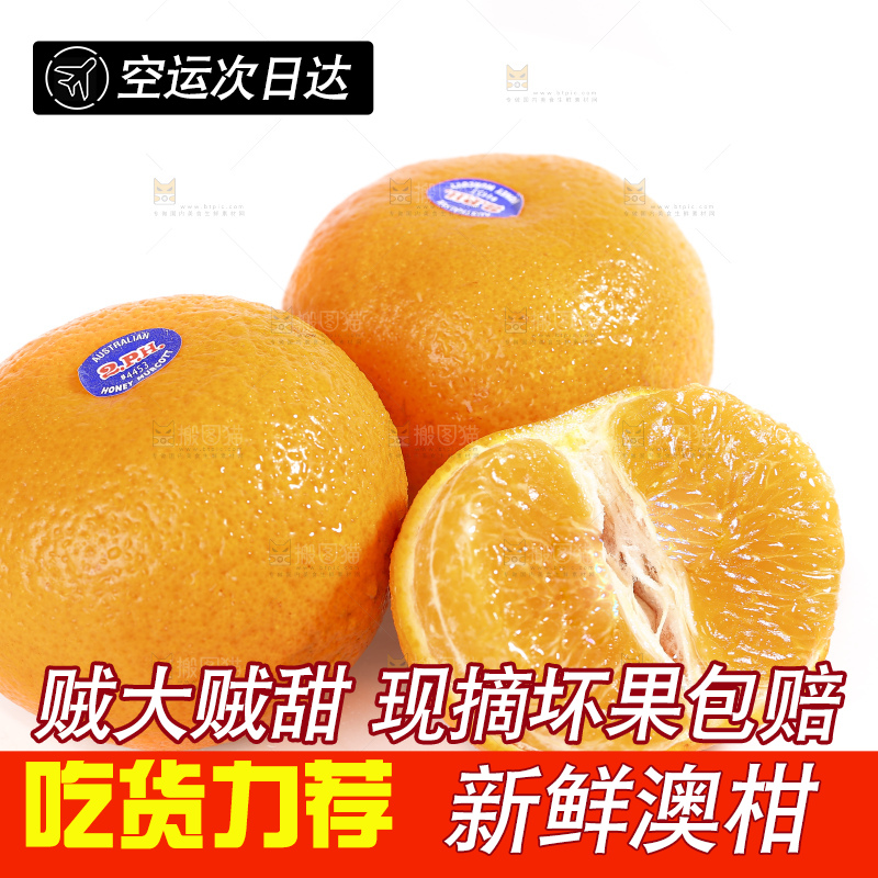 白底上放着新鲜澳柑