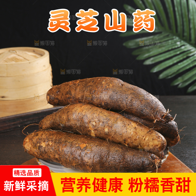 深底上的灵芝山药