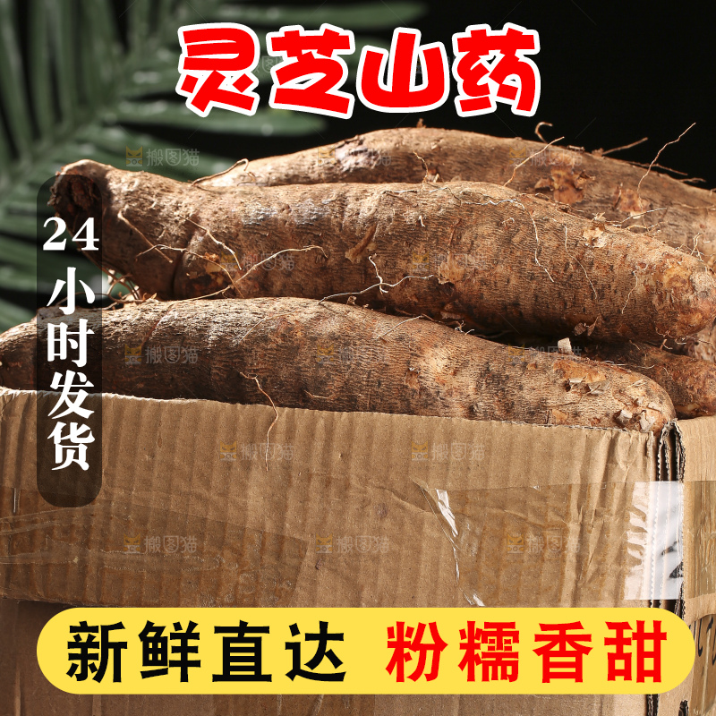 深底上放着灵芝山药