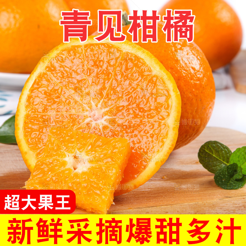 白底上放着青见柑橘