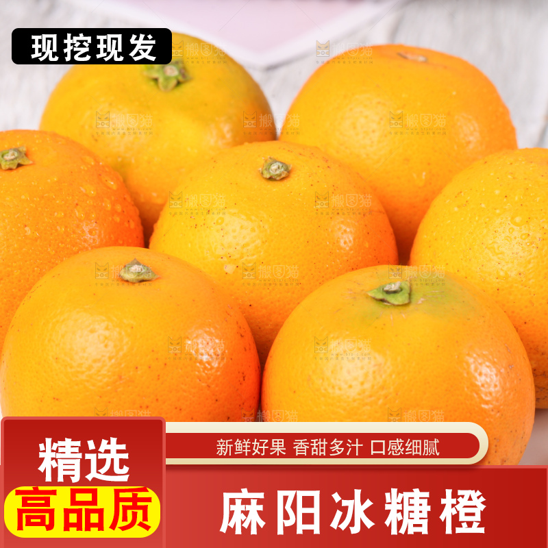 浅底上的麻阳冰糖橙