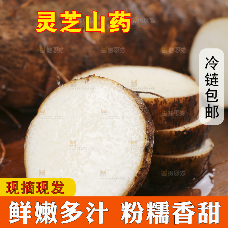 深底上的灵芝山药