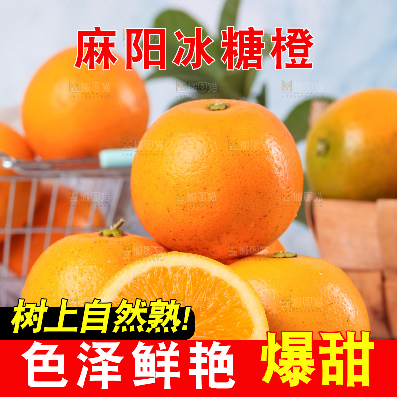 浅底上的麻阳冰糖橙