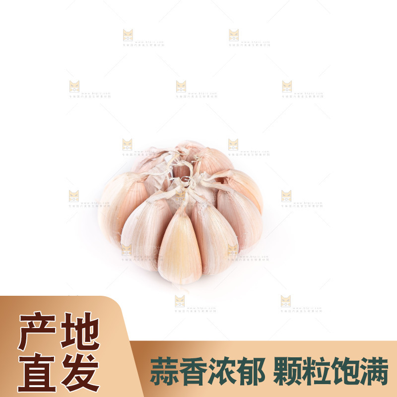 白底上的干蒜