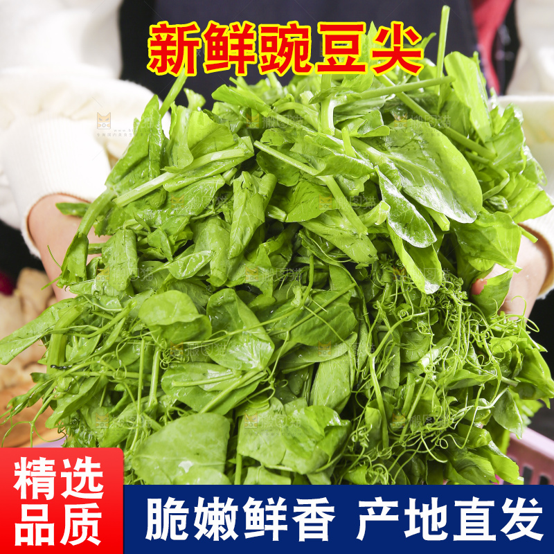 深底上的豌豆尖