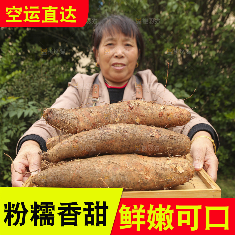 手里拿着灵芝山药