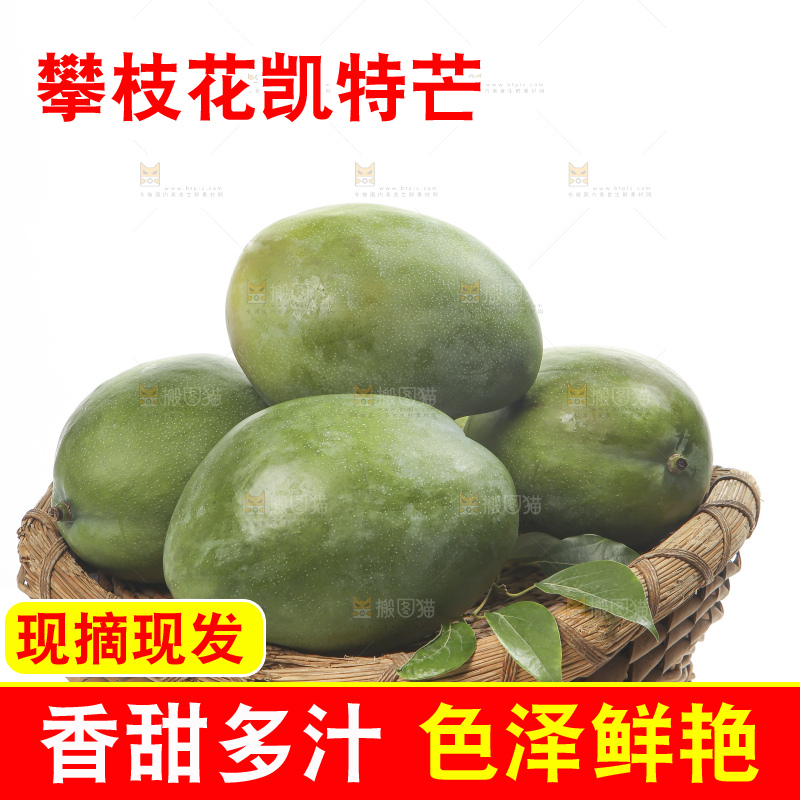 白底上的青皮凯特芒