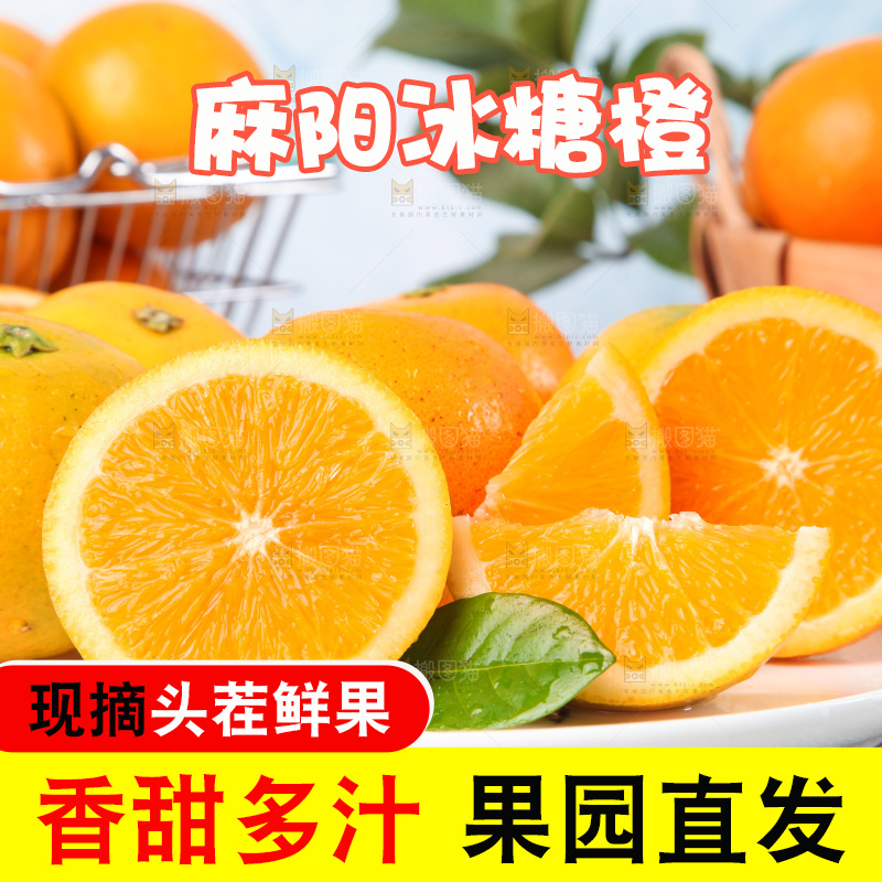 浅底上的麻阳冰糖橙