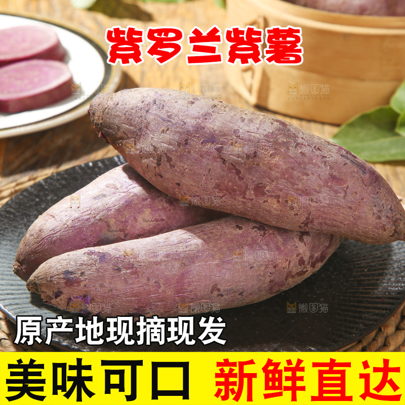 木底上的沙地紫薯