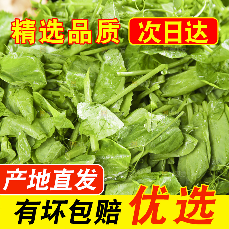深底上的豌豆尖
