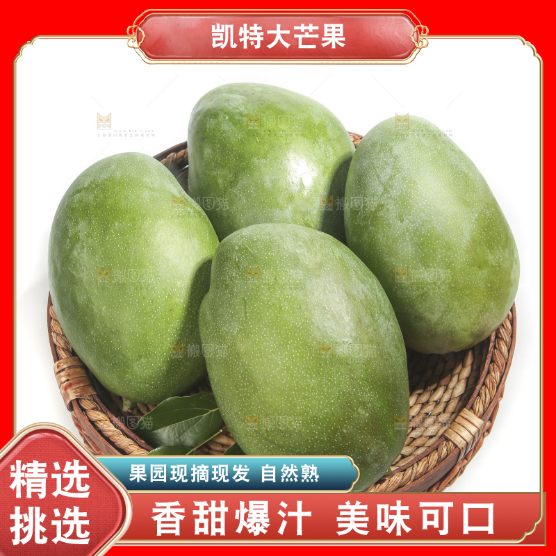 白底上的青皮凯特芒