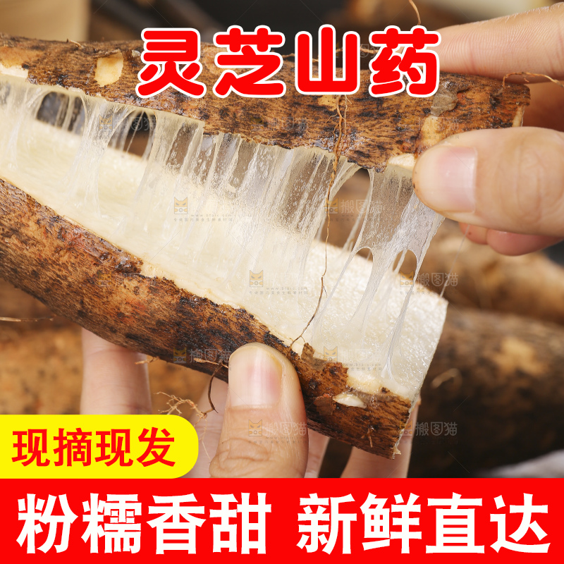 深底上的灵芝山药