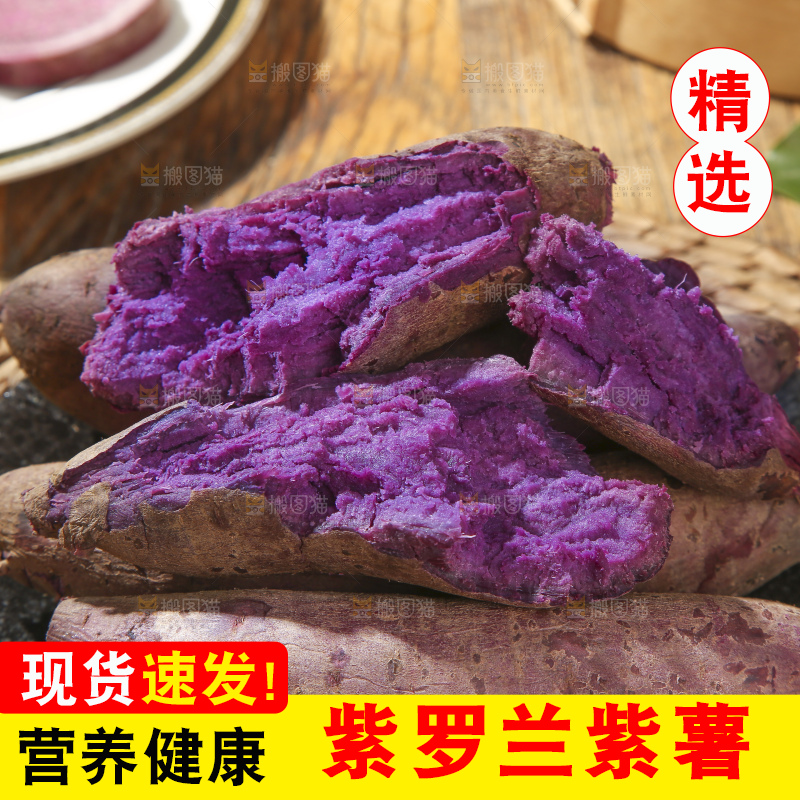 木底上的沙地紫薯