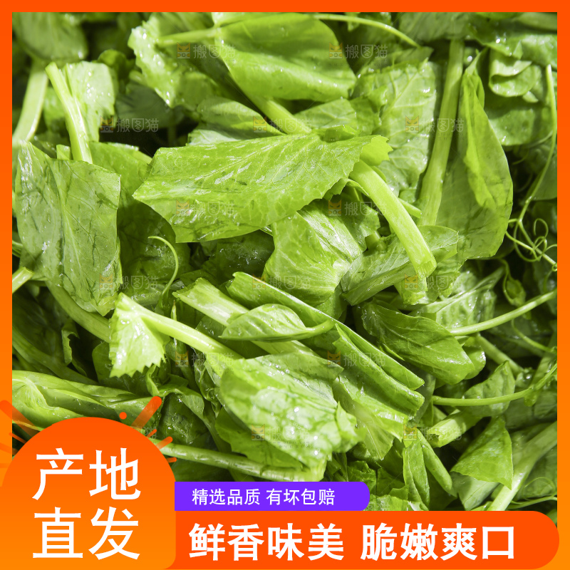 深底上的豌豆尖