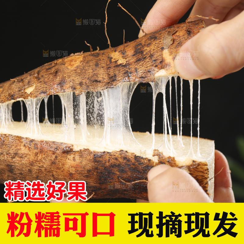 深底上的灵芝山药
