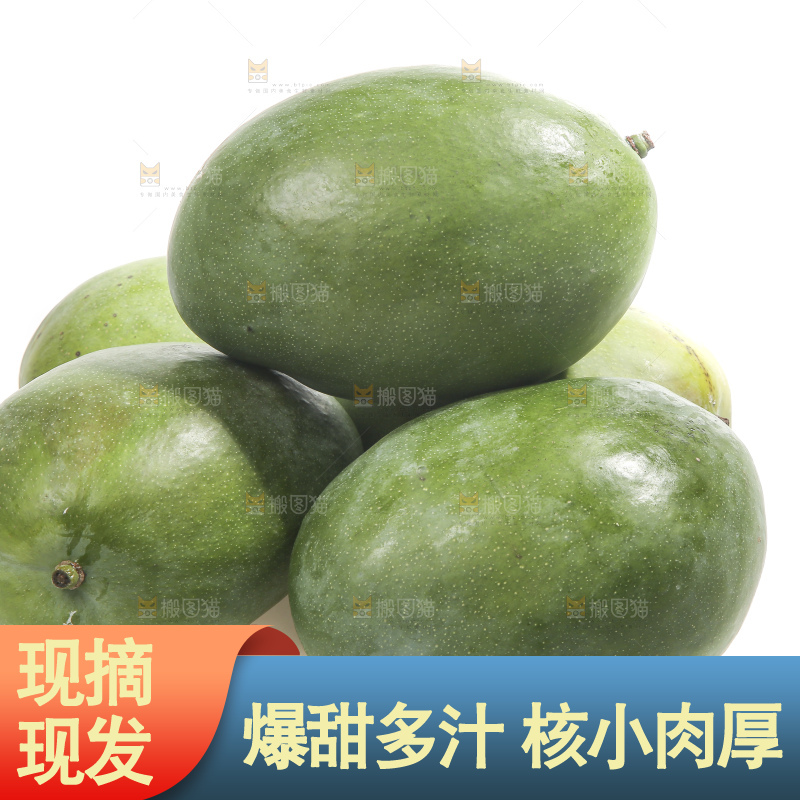 白底上的青皮凯特芒