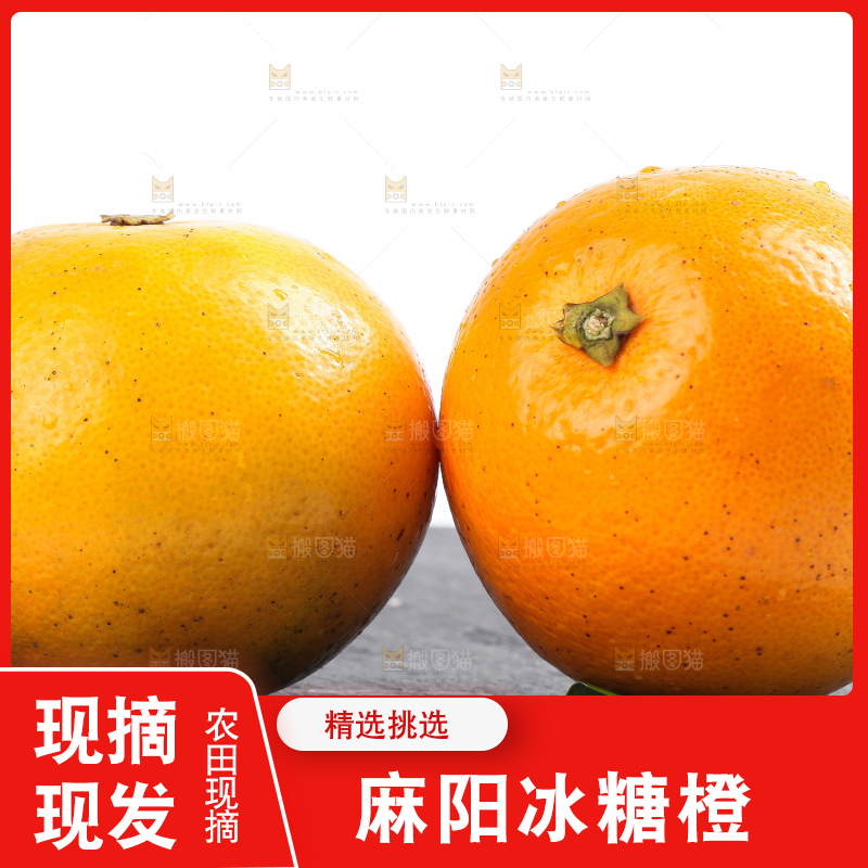 白底上的麻阳冰糖橙
