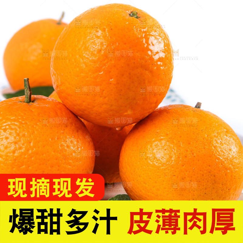 白底上放着青见柑橘