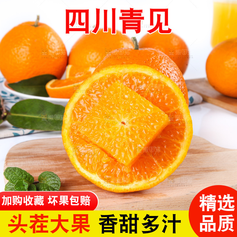 白底上放着青见柑橘